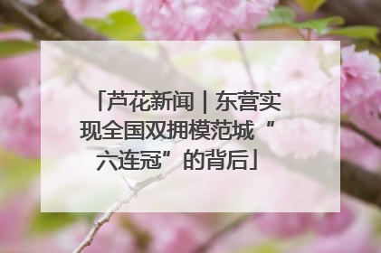 芦花新闻｜东营实现全国双拥模范城“六连冠”的背后