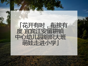 花开有时，衔接有度 宜宾江安留耕镇中心幼儿园组织大班萌娃走进小学