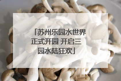 苏州乐园水世界正式开园 开启三园水陆狂欢