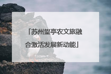 苏州望亭农文旅融合激活发展新动能