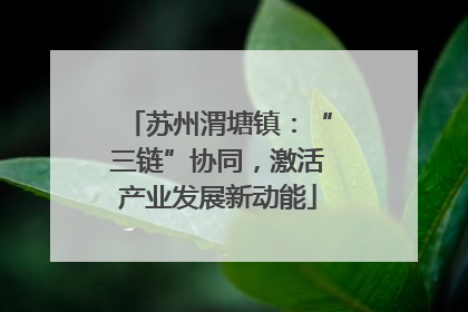 苏州渭塘镇：“三链”协同，激活产业发展新动能