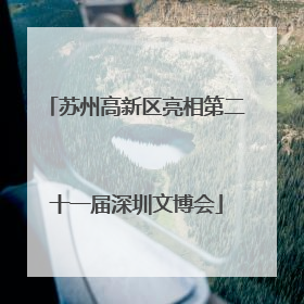 苏州高新区亮相第二十一届深圳文博会