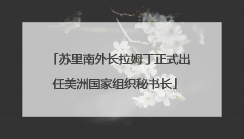 苏里南外长拉姆丁正式出任美洲国家组织秘书长