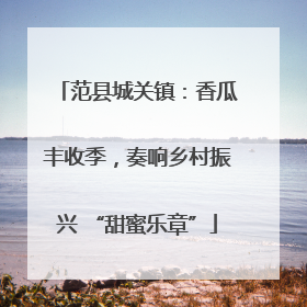 范县城关镇：香瓜丰收季，奏响乡村振兴 “甜蜜乐章”