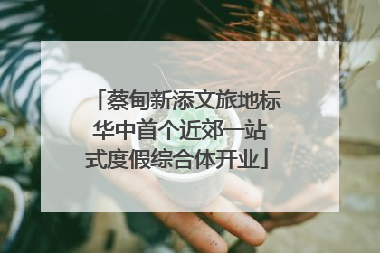 蔡甸新添文旅地标 华中首个近郊一站式度假综合体开业