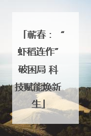 蕲春：“虾稻连作”破困局 科技赋能焕新生
