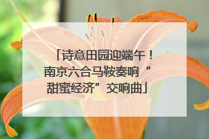诗意田园迎端午！南京六合马鞍奏响“甜蜜经济”交响曲