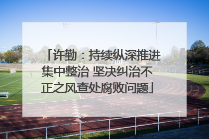 许勤：持续纵深推进集中整治 坚决纠治不正之风查处腐败问题