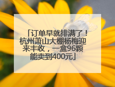 订单早就排满了！杭州萧山大棚杨梅迎来丰收，一盒96颗能卖到400元