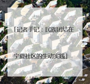 记者手记：民族团结在宁夏社区的生动实践