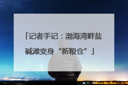 记者手记：渤海湾畔盐碱滩变身“新粮仓”