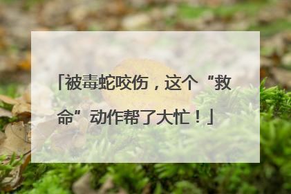 被毒蛇咬伤，这个“救命”动作帮了大忙！