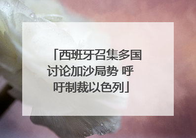 西班牙召集多国讨论加沙局势 呼吁制裁以色列