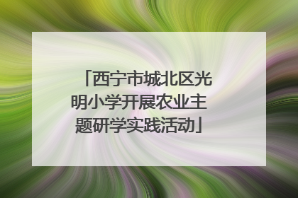 西宁市城北区光明小学开展农业主题研学实践活动