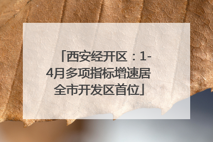 西安经开区：1-4月多项指标增速居全市开发区首位