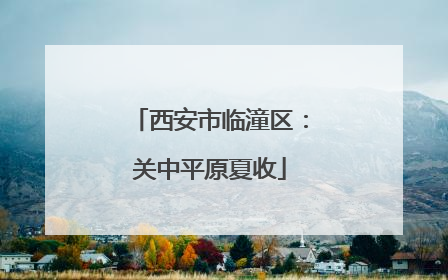 西安市临潼区：关中平原夏收