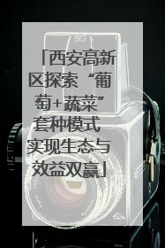 西安高新区探索“葡萄+蔬菜”套种模式 实现生态与效益双赢