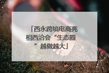 西永跨境电商亮相西洽会“生态圈”越做越大