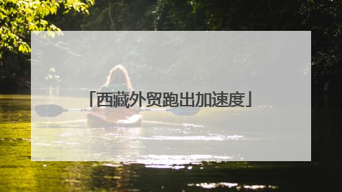 西藏外贸跑出加速度