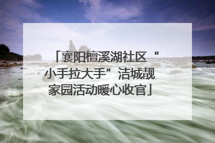 襄阳檀溪湖社区“小手拉大手”洁城靓家园活动暖心收官