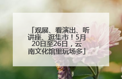 观展、看演出、听讲座、逛集市！5月20日至26日，云南文化馆里玩场多