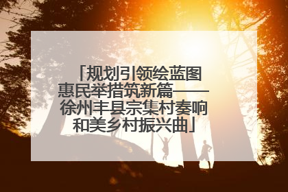 规划引领绘蓝图 惠民举措筑新篇——徐州丰县宗集村奏响和美乡村振兴曲