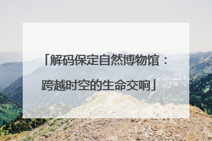 解码保定自然博物馆：跨越时空的生命交响