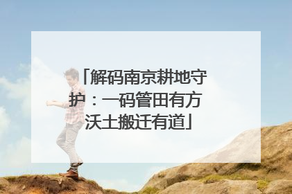 解码南京耕地守护：一码管田有方 沃土搬迁有道