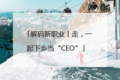 解码新职业丨走，一起下乡当“CEO”