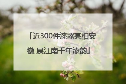 近300件漆器亮相安徽 展江南千年漆韵