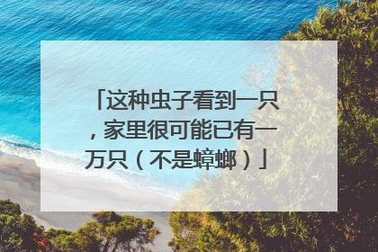 这种虫子看到一只，家里很可能已有一万只（不是蟑螂）