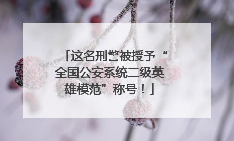 这名刑警被授予“全国公安系统二级英雄模范”称号！