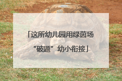 这所幼儿园用绿茵场“破题”幼小衔接