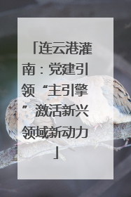 连云港灌南：党建引领“主引擎”激活新兴领域新动力