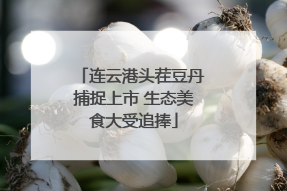 连云港头茬豆丹捕捉上市 生态美食大受追捧