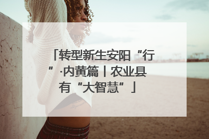 转型新生安阳“行”·内黄篇丨农业县有“大智慧”