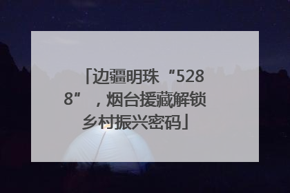 边疆明珠“5288”，烟台援藏解锁乡村振兴密码