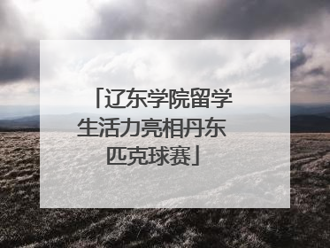 辽东学院留学生活力亮相丹东匹克球赛
