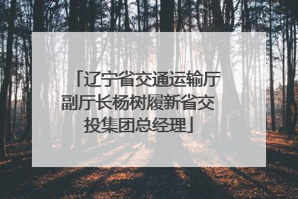 辽宁省交通运输厅副厅长杨树履新省交投集团总经理