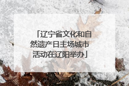 辽宁省文化和自然遗产日主场城市活动在辽阳举办