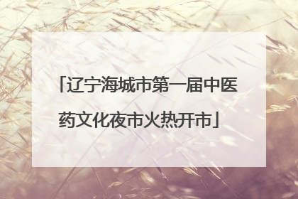 辽宁海城市第一届中医药文化夜市火热开市