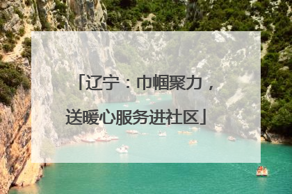 辽宁：巾帼聚力，送暖心服务进社区