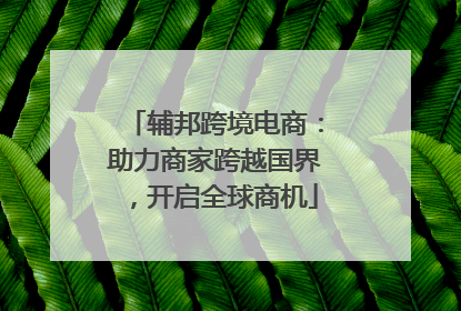 辅邦跨境电商：助力商家跨越国界，开启全球商机
