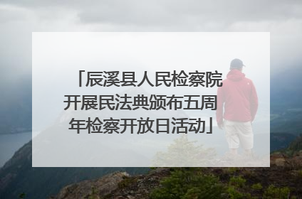 辰溪县人民检察院开展民法典颁布五周年检察开放日活动