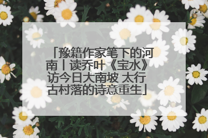 豫籍作家笔下的河南丨读乔叶《宝水》访今日大南坡 太行古村落的诗意重生