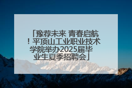 豫荐未来 青春启航！平顶山工业职业技术学院举办2025届毕业生夏季招聘会