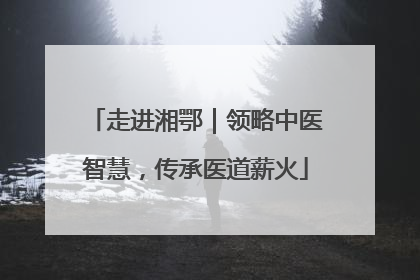 走进湘鄂｜领略中医智慧，传承医道薪火