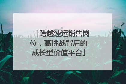 跨越速运销售岗位，高挑战背后的成长型价值平台