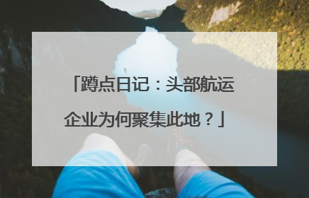 蹲点日记：头部航运企业为何聚集此地？
