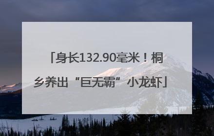 身长132.90毫米！桐乡养出“巨无霸”小龙虾